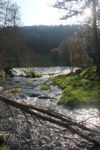 IMG_3581.JPG IMG_3581.JPG