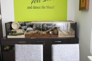 IMG_6686.JPG IMG_6686.JPG