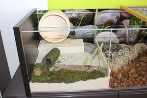 IMG_6687.JPG IMG_6687.JPG