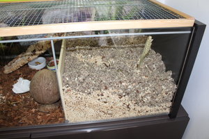 IMG_6690.JPG IMG_6690.JPG