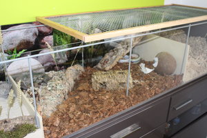 IMG_6688.JPG IMG_6688.JPG