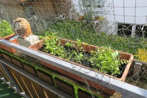 IMG_0326.jpg IMG_0326.jpg