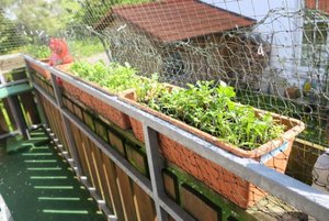 IMG_0327.jpg IMG_0327.jpg