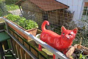 IMG_0328.jpg IMG_0328.jpg