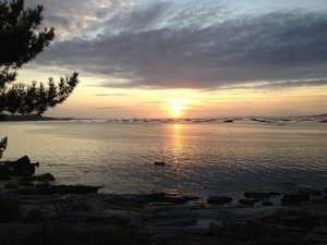 IMG_0338.jpg IMG_0338.jpg