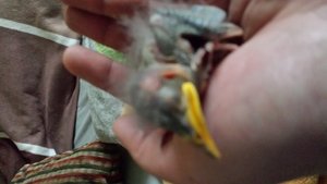 f5021933.xl.jpg f5021933.xl.jpg