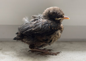 IMGP6986.jpg IMGP6986.jpg