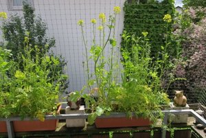 IMG_0345.jpg IMG_0345.jpg