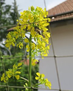 IMG_0349.jpg IMG_0349.jpg