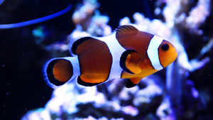 27324154492_10515039e9_b.jpg 27324154492_10515039e9_b.jpg