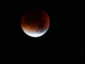 21781205132_ffee4f1510_b.jpg 21781205132_ffee4f1510_b.jpg