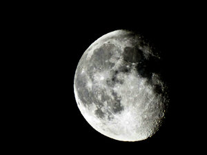 27539260625_164a101edd_b.jpg 27539260625_164a101edd_b.jpg