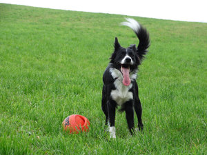 26930770043_c83be6c192_b.jpg 26930770043_c83be6c192_b.jpg