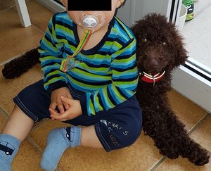 20160714_200625.jpg 20160714_200625.jpg