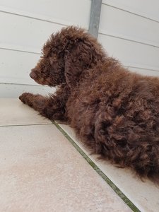 20160715_183333.jpg 20160715_183333.jpg