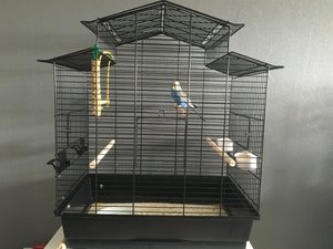 IMG_1852.JPG IMG_1852.JPG