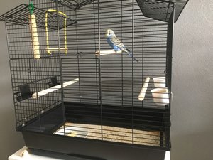 IMG_1853.JPG IMG_1853.JPG