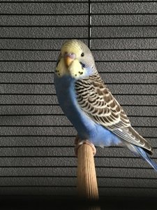 IMG_1854.JPG IMG_1854.JPG