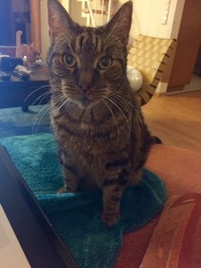 6639383939333337.jpg 6639383939333337.jpg