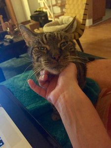 3236633236393864.jpg 3236633236393864.jpg