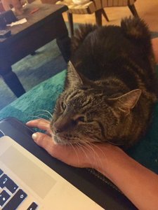 3731663931623436.jpg 3731663931623436.jpg