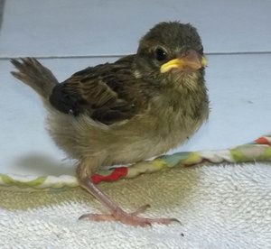 WP_20160728_007.jpg WP_20160728_007.jpg