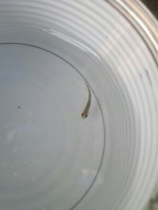 2016-08-13 18.48.15.jpg