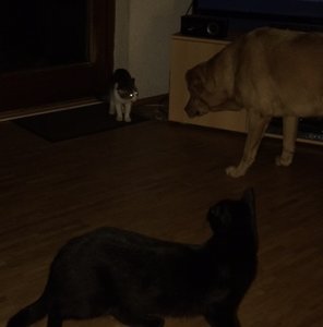 Jimmy zweiter Abend.JPG