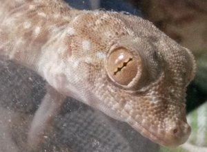 20160924_141958.jpg 20160924_141958.jpg