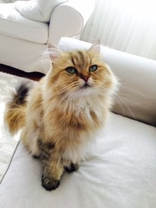 IMG_7167(1).JPG IMG_7167(1).JPG