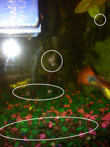 image_b.jpg image_b.jpg