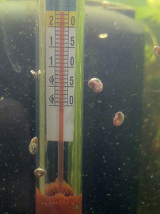 image-1_b.jpg image-1_b.jpg