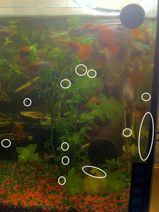 image-2_b.jpg image-2_b.jpg