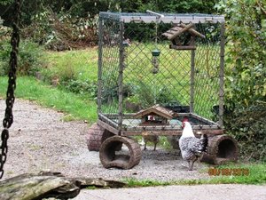 A FÃ¼tterer IMG_7682.JPG