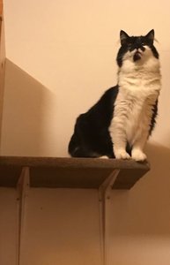 FullSizeRender (1).jpg FullSizeRender (1).jpg