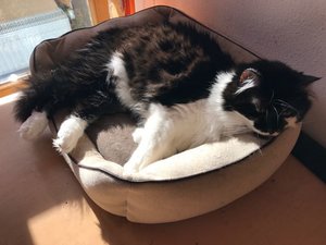 IMG_2553 (1).jpg IMG_2553 (1).jpg