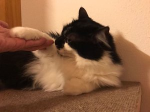 Unknown1 (1).jpg Unknown1 (1).jpg