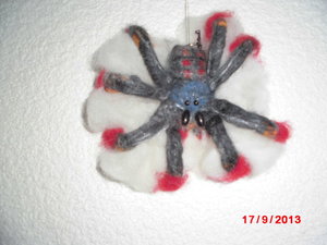 filzspinne.JPG