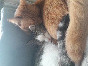 20161120_141645.jpg 20161120_141645.jpg