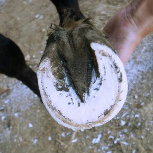 front right bottom.jpg