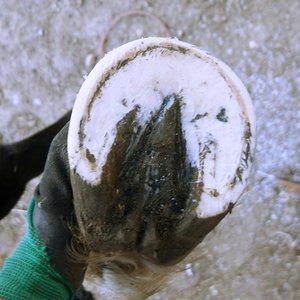 front left bottom.jpg