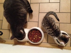 IMG_1862 - Kopie.jpeg