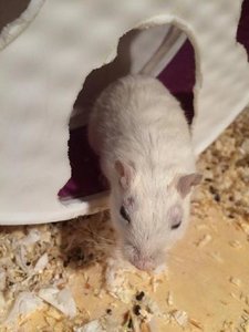 15934113170457sf6a7ydbeu.jpg 15934113170457sf6a7ydbeu.jpg