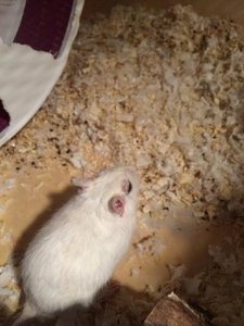 15935117170457br8ph702jy.jpg 15935117170457br8ph702jy.jpg