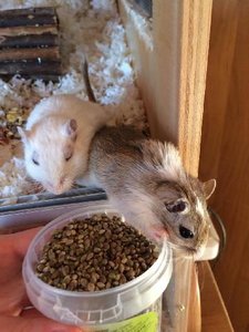 15966667170457rv5bnsx4t7.jpg 15966667170457rv5bnsx4t7.jpg