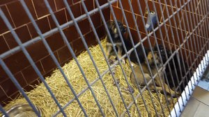 potucky_smallsize.jpg potucky_smallsize.jpg