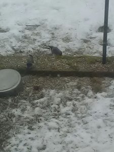 WhatsApp Image 2017-02-13 at 19.15.49.jpg