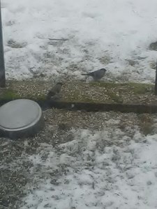 WhatsApp Image 2017-02-13 at 19.16.11.jpg