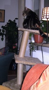 1440_6234393637643265 (1).jpg 1440_6234393637643265 (1).jpg