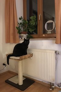 IMG_2715.jpg IMG_2715.jpg